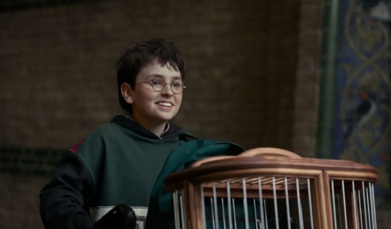 Série de Harry Potter ganha trailer inédito dublado; confira